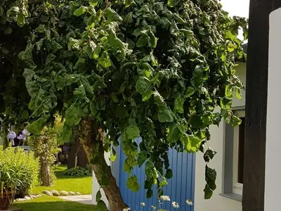 Ferienwohnung für 2 Personen (65 m²) in Bad Pyrmont 5/10