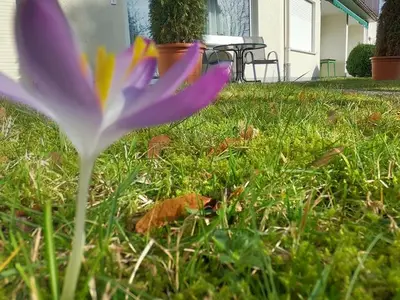 Ferienwohnung für 2 Personen (35 m²) in Bad Pyrmont 5/10