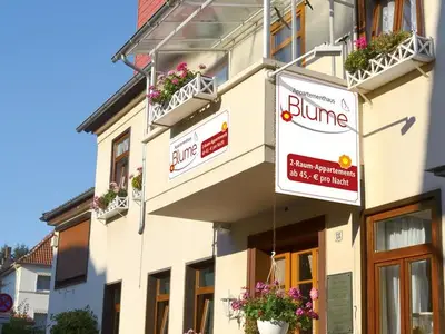 Ferienwohnung für 2 Personen (40 m²) in Bad Pyrmont 1/10
