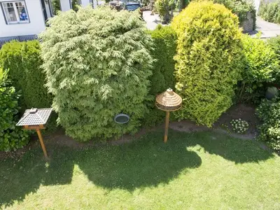 Ferienwohnung für 5 Personen (70 m²) in Bad Pyrmont 4/10