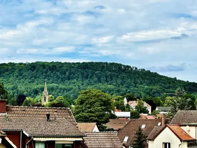 Fernblick