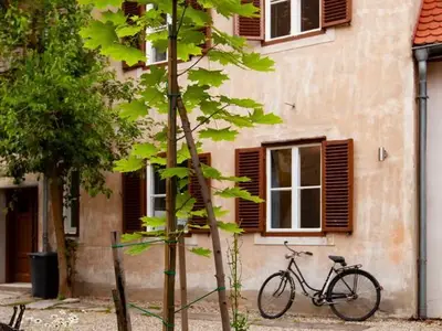 Ferienwohnung für 2 Personen (30 m²) in Bad Radkersburg 5/10