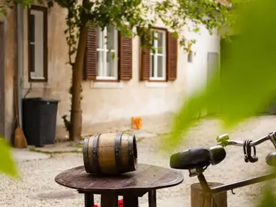Ferienwohnung für 2 Personen (30 m²) in Bad Radkersburg 7/10