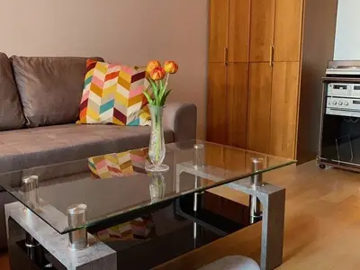 Ferienwohnung für 4 Personen (55 m²) in Bad Radkersburg 6/10