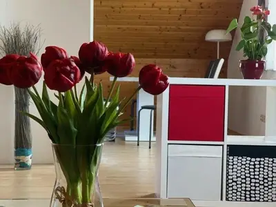 Ferienwohnung für 6 Personen (73 m²) in Bad Radkersburg 3/10
