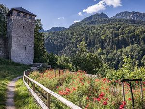 22417331-Ferienwohnung-2-Bad Reichenhall-300x225-1