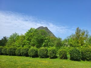 23993350-Ferienwohnung-2-Bad Reichenhall-300x225-3