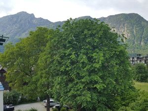 23674104-Ferienwohnung-2-Bad Reichenhall-300x225-3