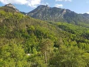 19391839-Ferienwohnung-3-Bad Reichenhall-300x225-5