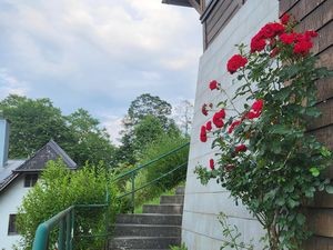 23682557-Ferienwohnung-2-Bad Reichenhall-300x225-2