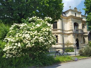 24009009-Ferienwohnung-2-Bad Reichenhall-300x225-4