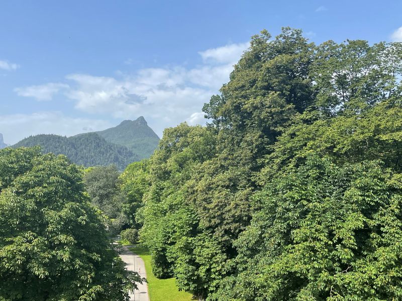 24036649-Ferienwohnung-6-Bad Reichenhall-800x600-1