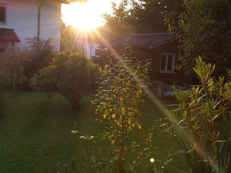 22190335-Ferienwohnung-3-Bad Reichenhall-800x600-1