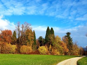 23971948-Ferienwohnung-4-Bad Reichenhall-300x225-0