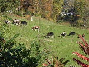 23664220-Ferienwohnung-1-Bad Reichenhall-300x225-4