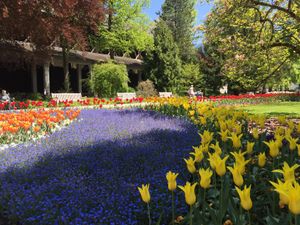 24059337-Ferienwohnung-2-Bad Reichenhall-300x225-3