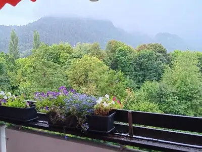 Ausblick