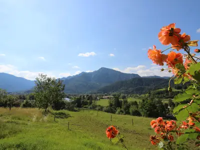 Aussicht