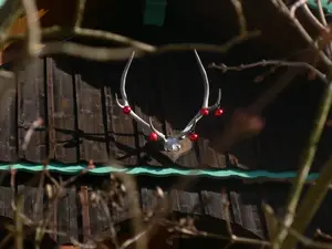 Ferienwohnung für 4 Personen (44 m²) in Bad Reichenhall