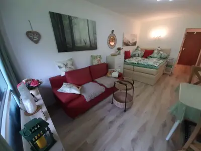 Ferienwohnung für 4 Personen (28 m²) in Bad Reichenhall 3/10