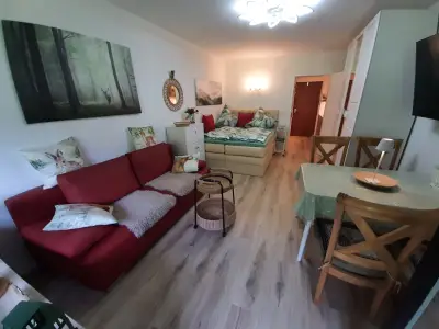 Ferienwohnung für 4 Personen (28 m²) in Bad Reichenhall 4/10