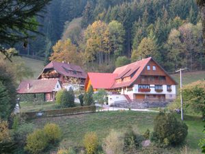 Ferienwohnung für 2 Personen in Bad Rippoldsau-Schapbach
