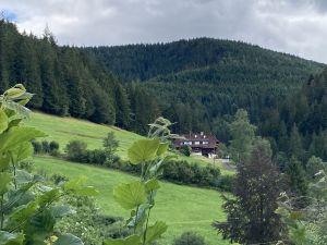 Ferienwohnung für 4 Personen (50 m²) in Bad Rippoldsau-Schapbach