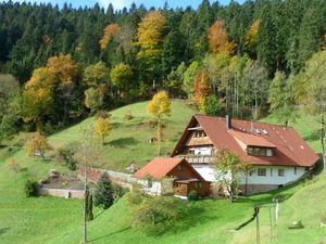 Ferienwohnung für 4 Personen (60 m&sup2;) in Bad Rippoldsau-Schapbach