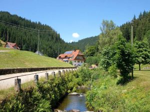 Ferienwohnung für 6 Personen (75 m&sup2;) in Bad Rippoldsau-Schapbach