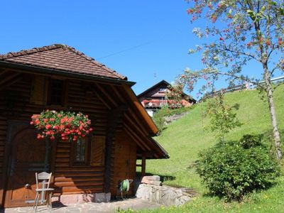 Ferienwohnung für 4 Personen (80 m²) in Bad Rippoldsau-Schapbach 10/10