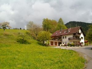 Ferienwohnung für 5 Personen (75 m²) in Bad Rippoldsau-Schapbach