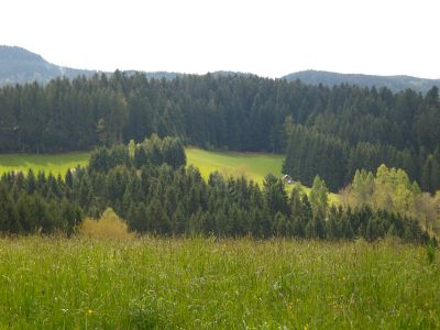 Ferienwohnung für 5 Personen (75 m²) in Bad Rippoldsau-Schapbach 4/10