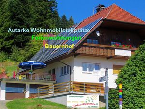 18505449-Ferienwohnung-8-Bad Rippoldsau-Schapbach-300x225-3