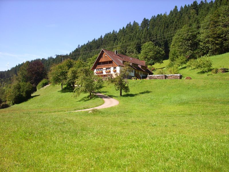 19168332-Ferienwohnung-2-Bad Rippoldsau-Schapbach-800x600-0