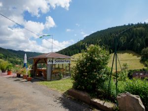 18707022-Ferienwohnung-4-Bad Rippoldsau-Schapbach-300x225-5