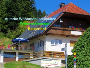 18505449-Ferienwohnung-8-Bad Rippoldsau-Schapbach-300x225-1