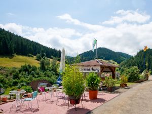 18707022-Ferienwohnung-4-Bad Rippoldsau-Schapbach-300x225-2