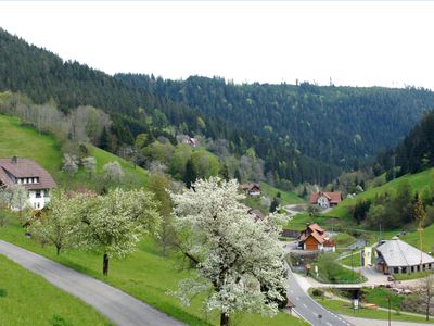 Ferienwohnung für 4 Personen (60 m²) in Bad Rippoldsau-Schapbach 2/10