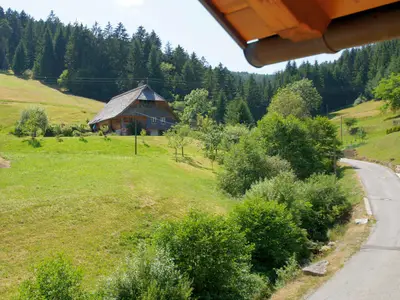 Blick vom Haus