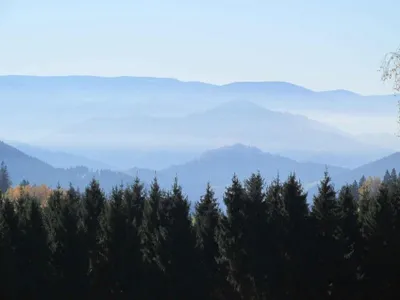 Sandras-Bergstation Schwarzwald