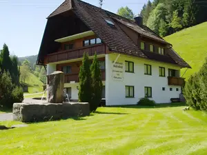 Ferienwohnung für 2 Personen (27 m²) in Bad Rippoldsau-Schapbach