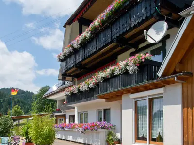 Ferienwohnung für 3 Personen (40 m²) in Bad Rippoldsau-Schapbach 4/10