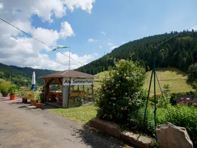 Ferienwohnung für 3 Personen (40 m²) in Bad Rippoldsau-Schapbach 6/10