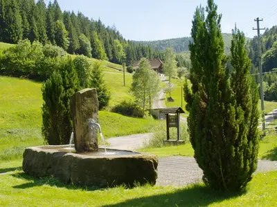 Ferienwohnung für 5 Personen (68 m²) in Bad Rippoldsau-Schapbach 2/10