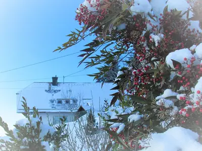 Sandras-Bergstation im Winterkleid