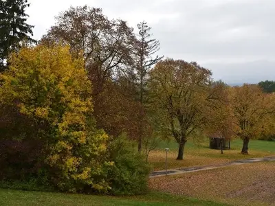 Ferienwohnung für 3 Personen (48 m²) in Bad Rodach 5/8