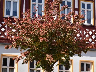 Ferienwohnung für 6 Personen (85 m²) in Bad Rodach 1/8