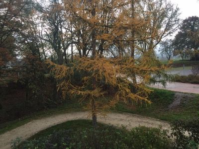 Ferienwohnung für 2 Personen (37 m²) in Bad Rodach 6/9