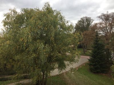 Ferienwohnung für 3 Personen (33 m²) in Bad Rodach 8/8