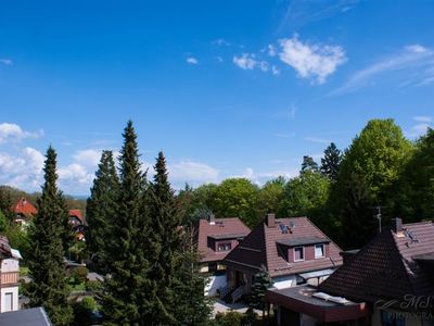 Ferienwohnung für 40 Personen (850 m²) in Bad Sachsa 10/10